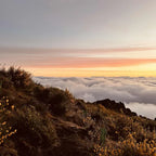 02.-09.11.2026 - MADEIRA