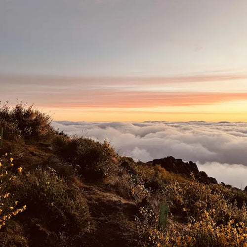 02.-09.11.2026 - MADEIRA